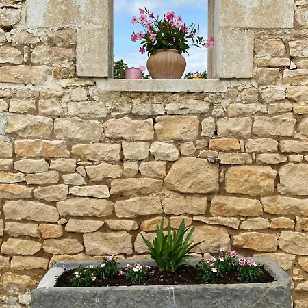 Les Des Lauriers Roses Privee Ile D Aix